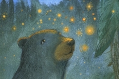 Bear and Fireflies
